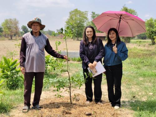 พช.ตระการพืชผล ชู "ครัวเรือนนายบุญลอง" ต้นแบบความมั่นคงทางอาหาร น้อมนำแนวพระราชดำริฯ สู่ความพอเพียงอย่างยั่งยืน